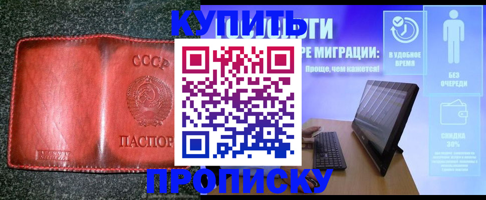 найти адрес прописки в Каргополе